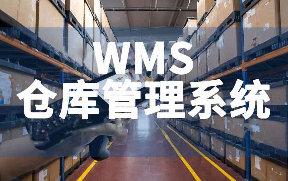 越龍特WMS系統：重塑物(wù)流倉儲管理(lǐ)新紀元